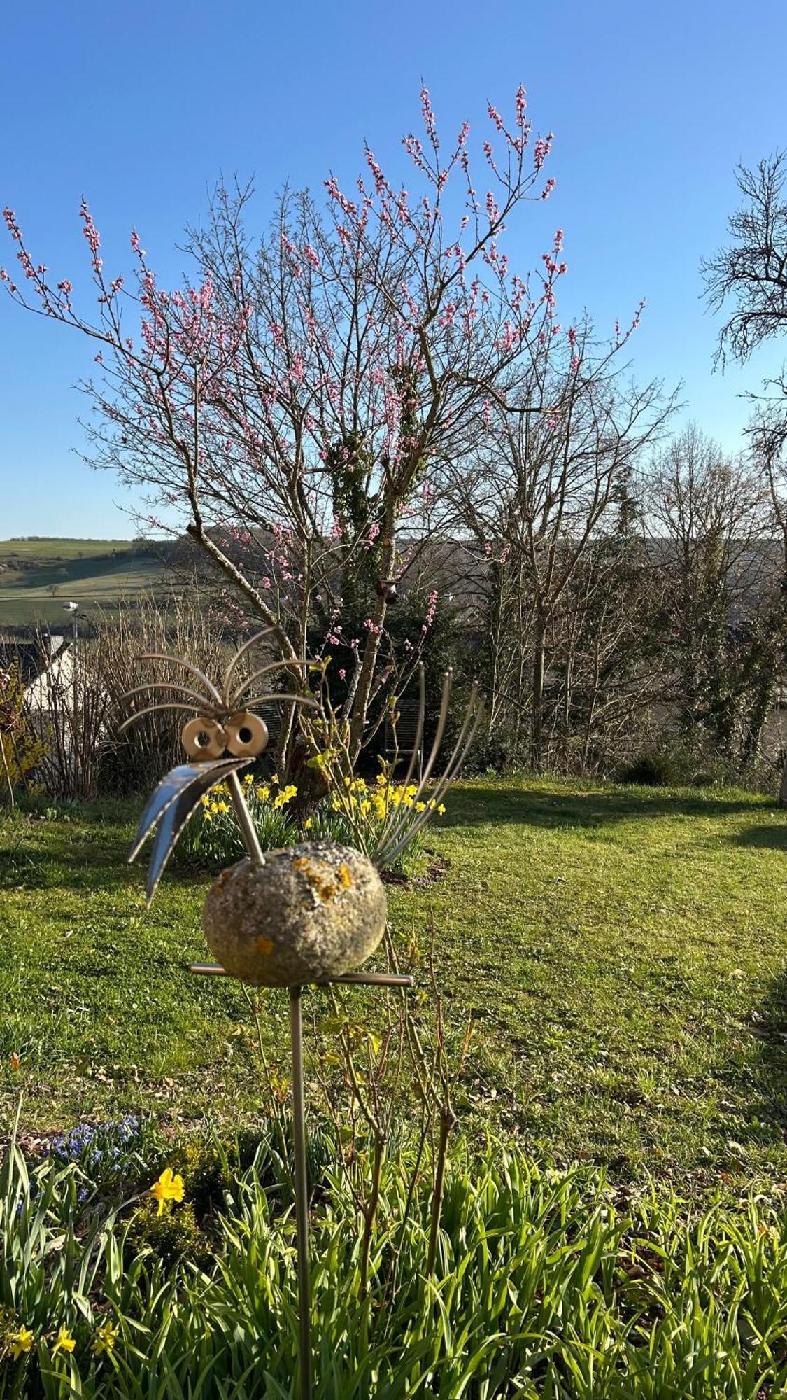 Appartement Panoramablick à Bad Sobernheim Extérieur photo